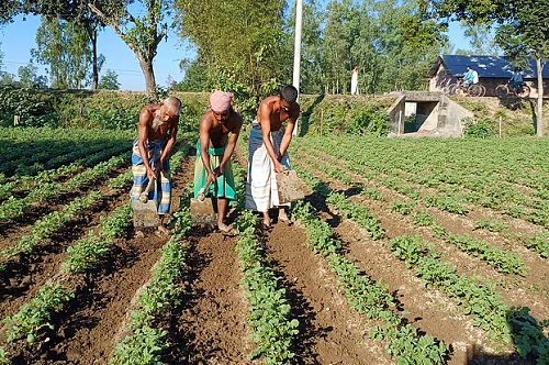 টেকসই কৃষি ও পুষ্টিকর খাদ্য