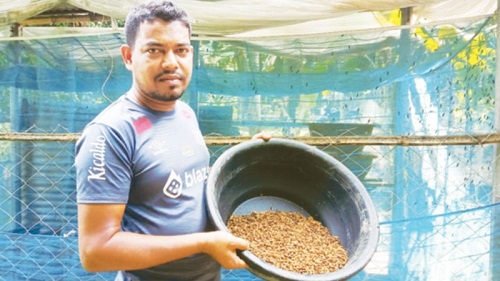 পোকা চাষে ভাগ্য ফিরেছে শিমুলের