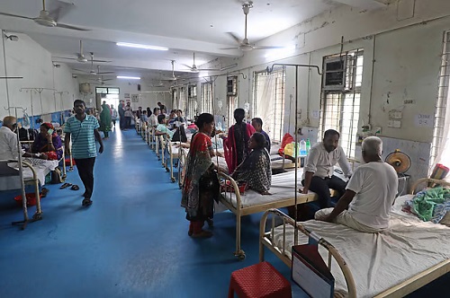 ডেঙ্গুর সংক্রমণ, নভেম্বরের প্রথম দুই দিনেই আক্রান্ত ৮৭ জন